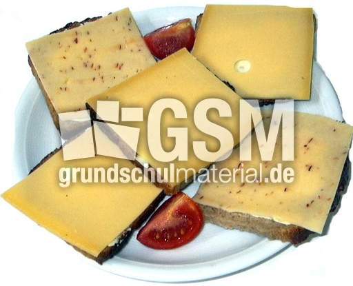 Schnitten1x5.jpg